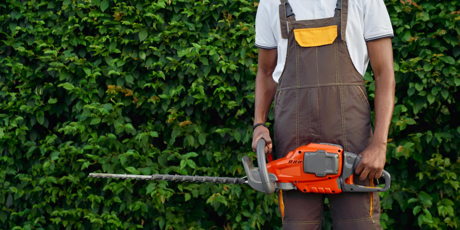 Tree Removal Company and Ijamsville MD Tree Service Choosing the Right Professionals