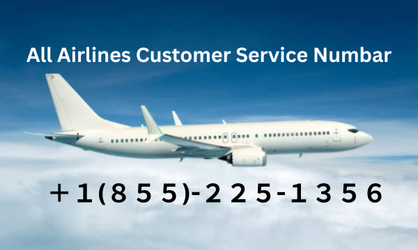 American Airlines Customer Care Contact Numbers