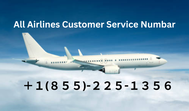 American Airlines Customer Care Contact Numbers