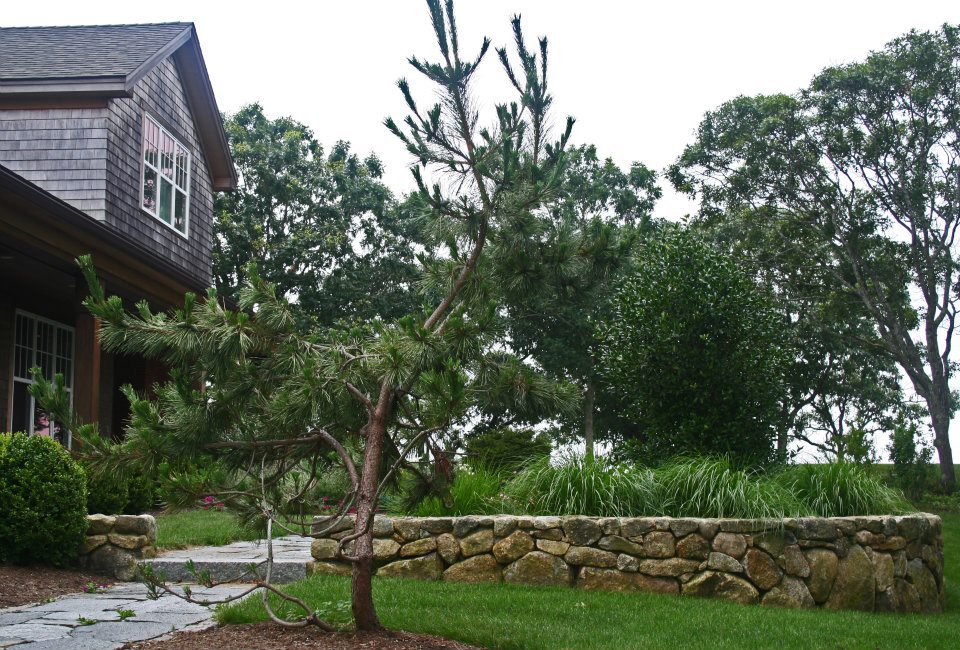 Lawn Maintenance South Shore