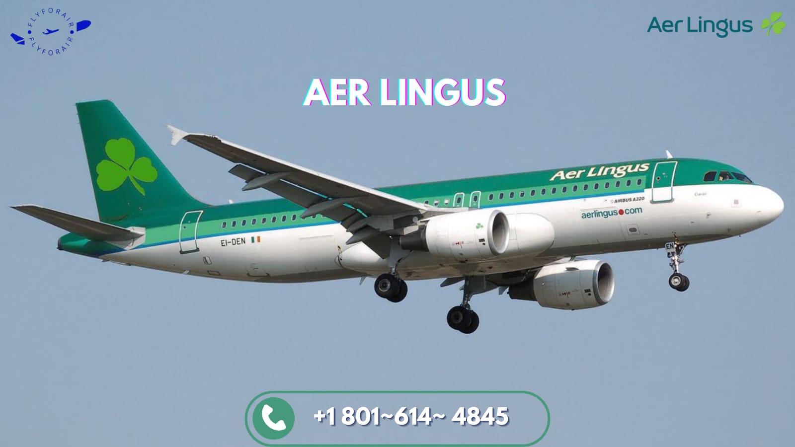 How Do I Talk to a Real Person at Aer Lingus?