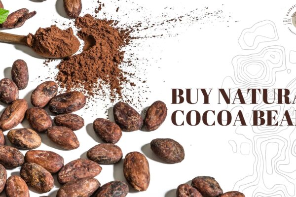 buy natural cocoa bean