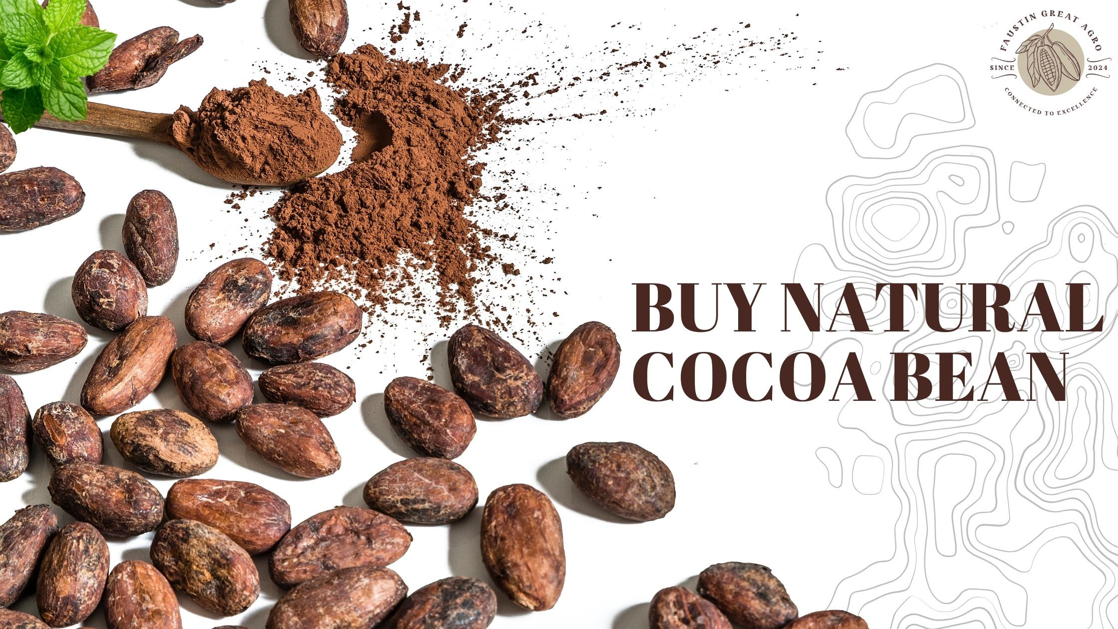 buy natural cocoa bean