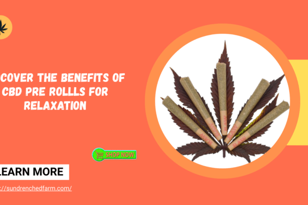 Discover the Benefits of CBD Pre Rollls for Relaxation CBD pre rolls