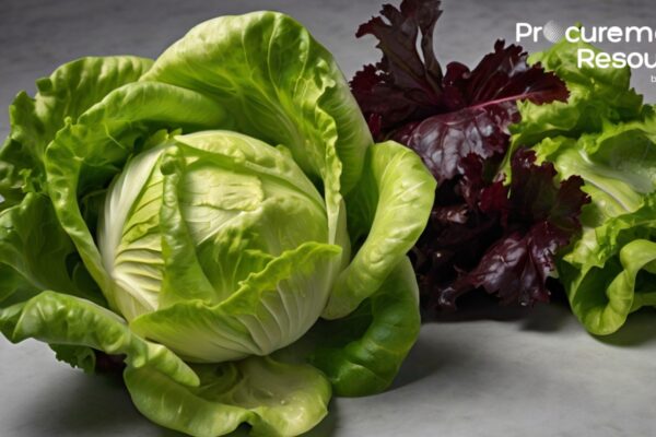 Lettuce Production Cost Report