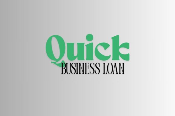 The Entrepreneur’s Guide to Instant Business Loans Online Instant Business Loans Online