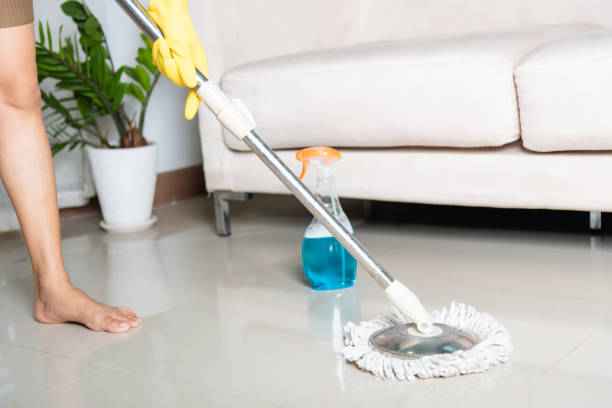 affordable grout steam cleaning