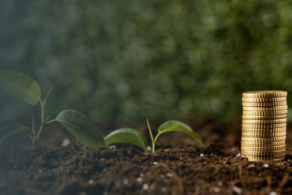 When Does the Best SIP Investment Plan in Jaipur Update NAV?