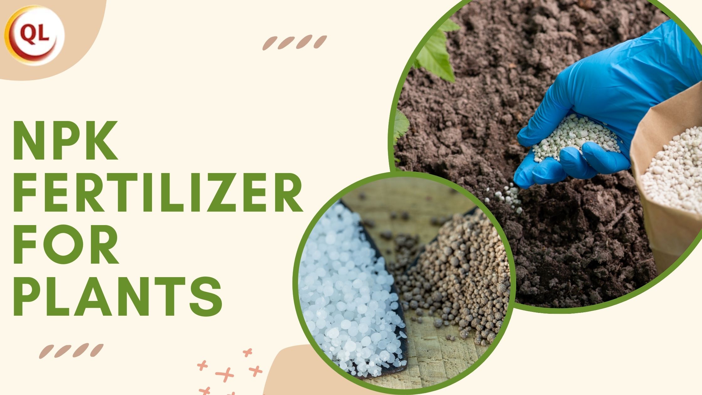 NPK fertilizer for plants