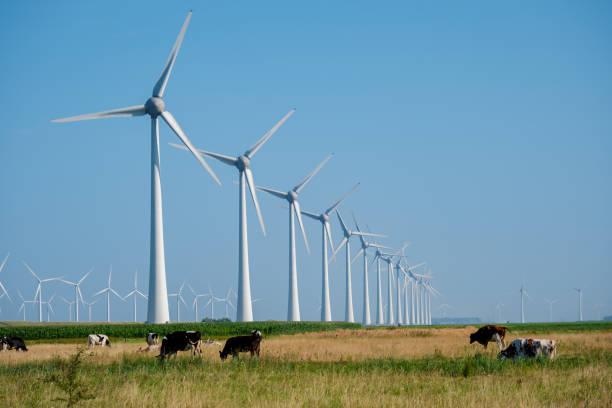 wind turbine